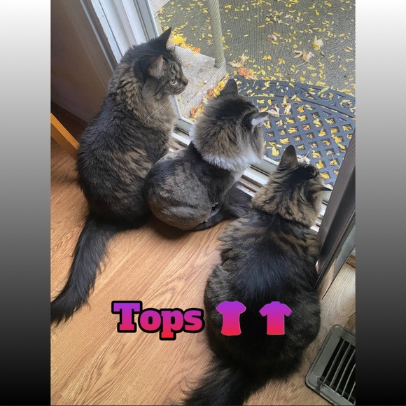 Tops - Picture 1 of 1